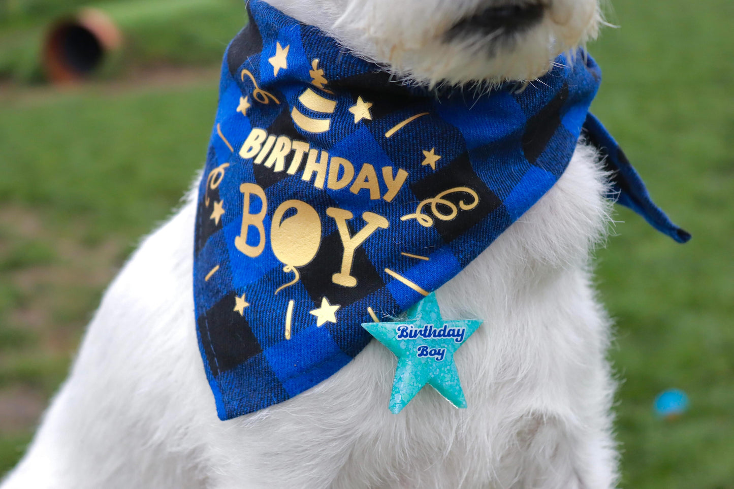 ✨🎈 Personalised Solid Glitter Birthday Dog Tag
