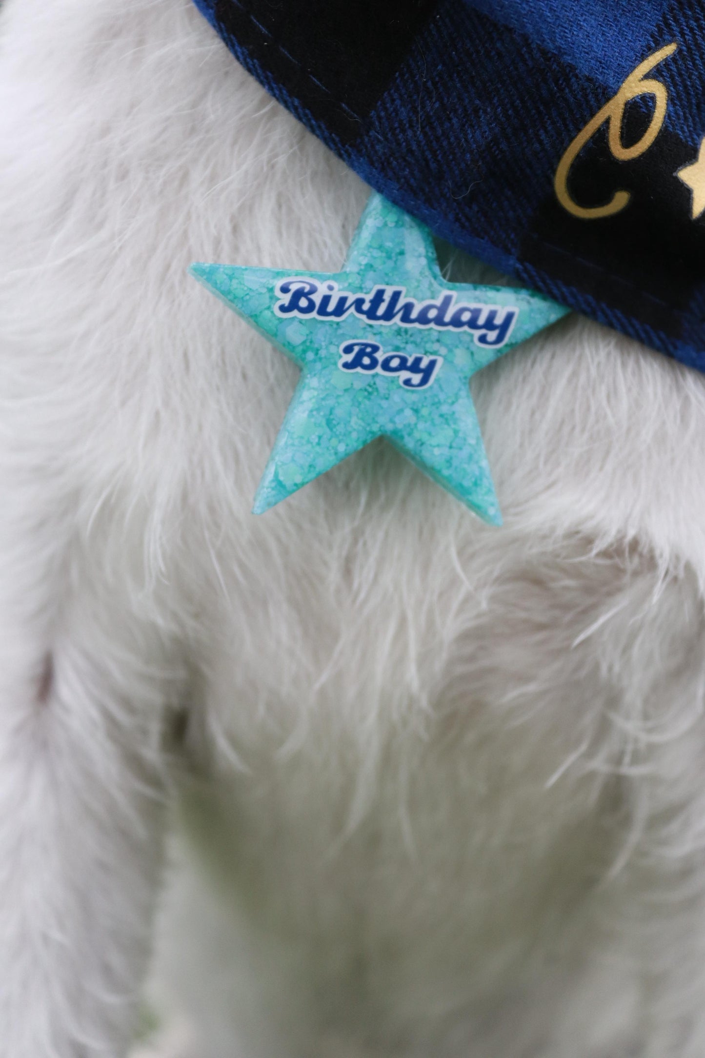 ✨🎈 Personalised Solid Glitter Birthday Dog Tag