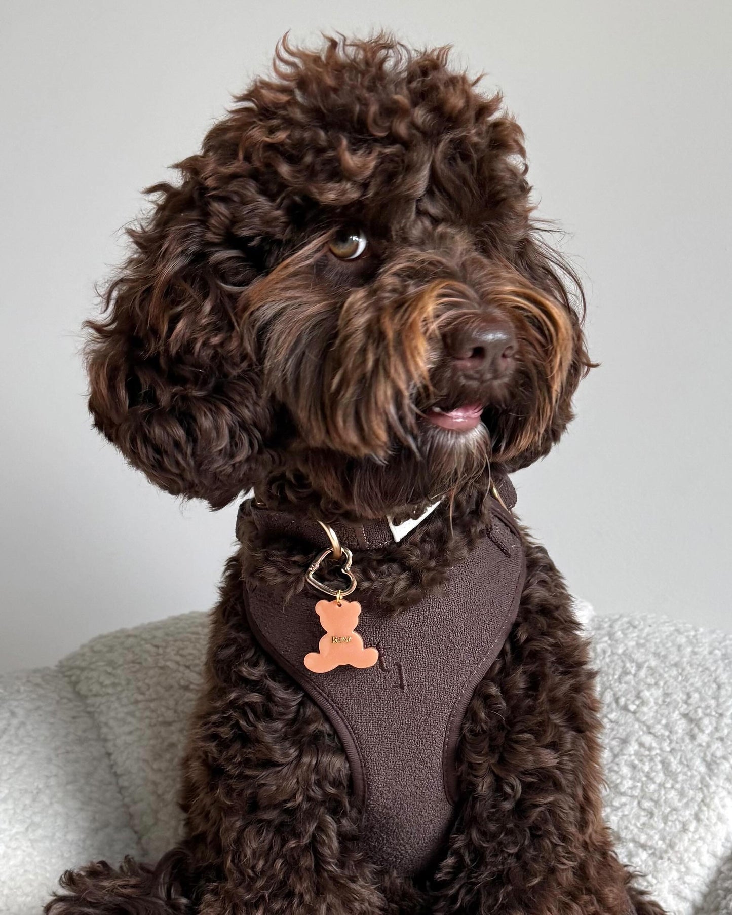 Beary Cute Tag π»
