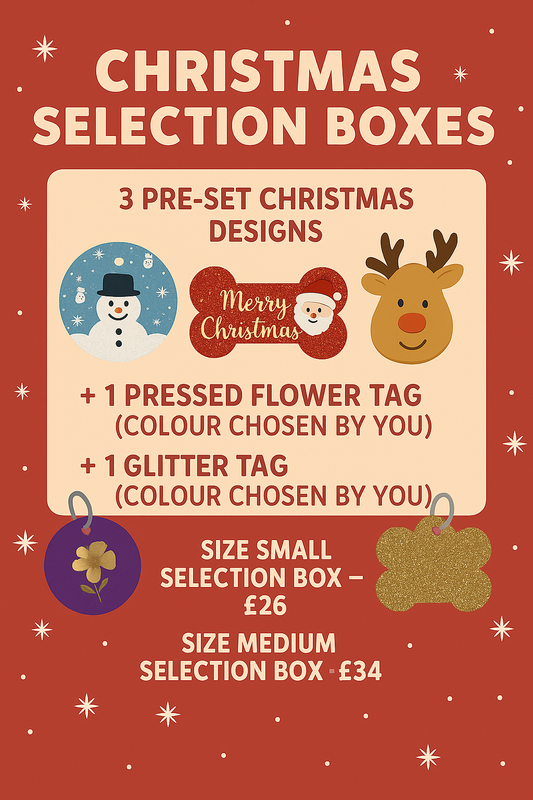 🎅🏽 🎄 🎁 Christmas Selection Box – Limited Edition 2025