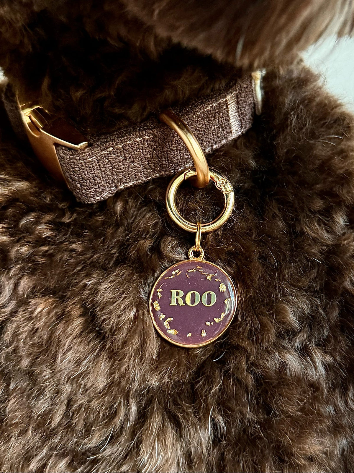 Roo's Collection 🤎