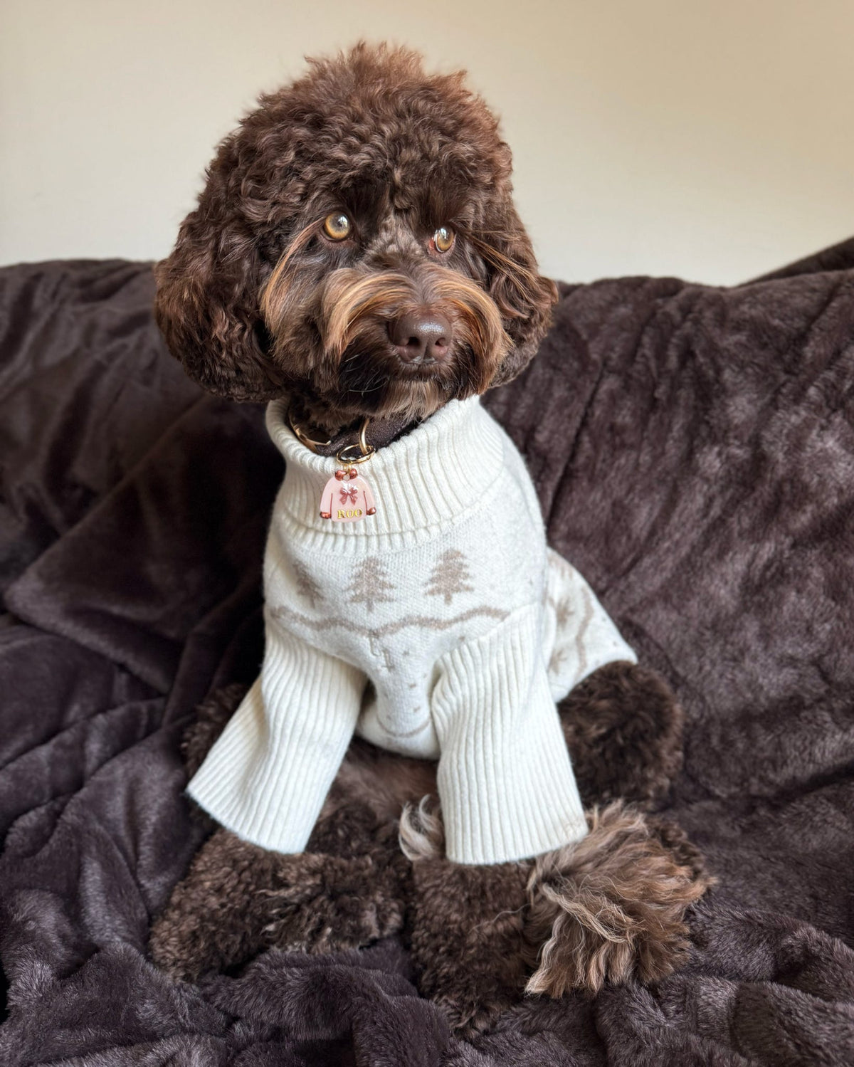 Cosy Bow Jumper 🎀