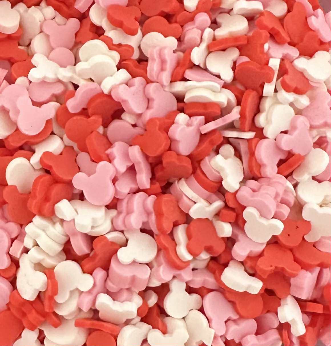 Mouse Head Clay Slices