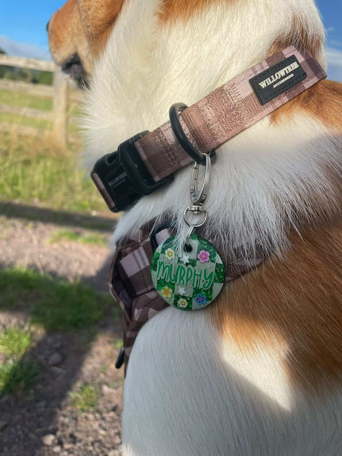 Murphy’s Collection 💚