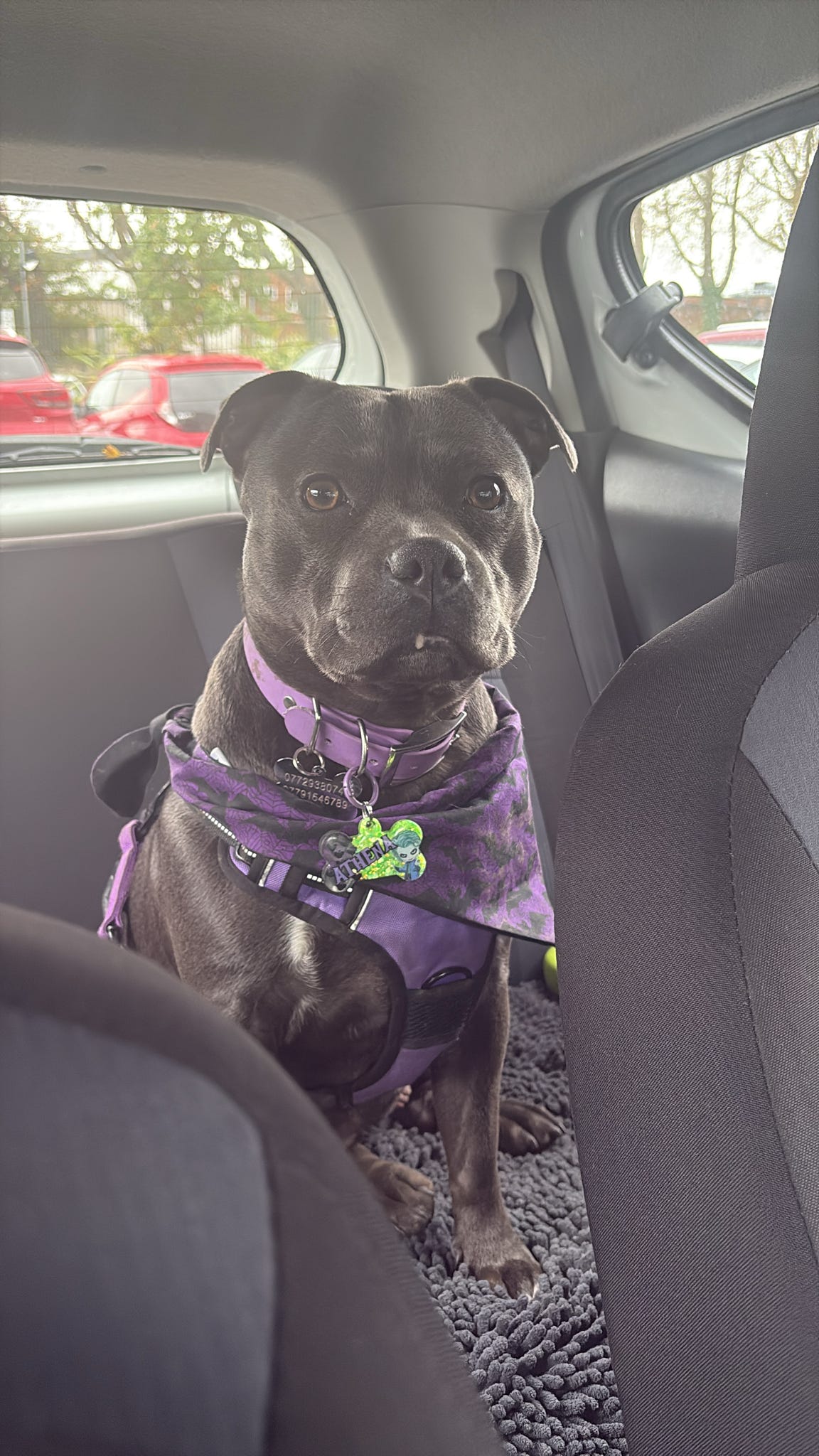 🎞️💖 Character Personalised Tag