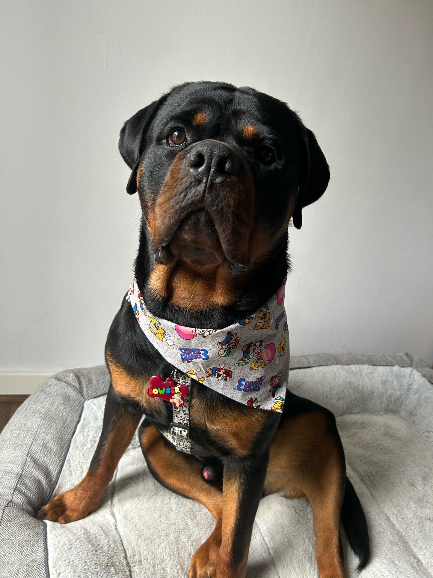 🎞️💖 Character Personalised Tag