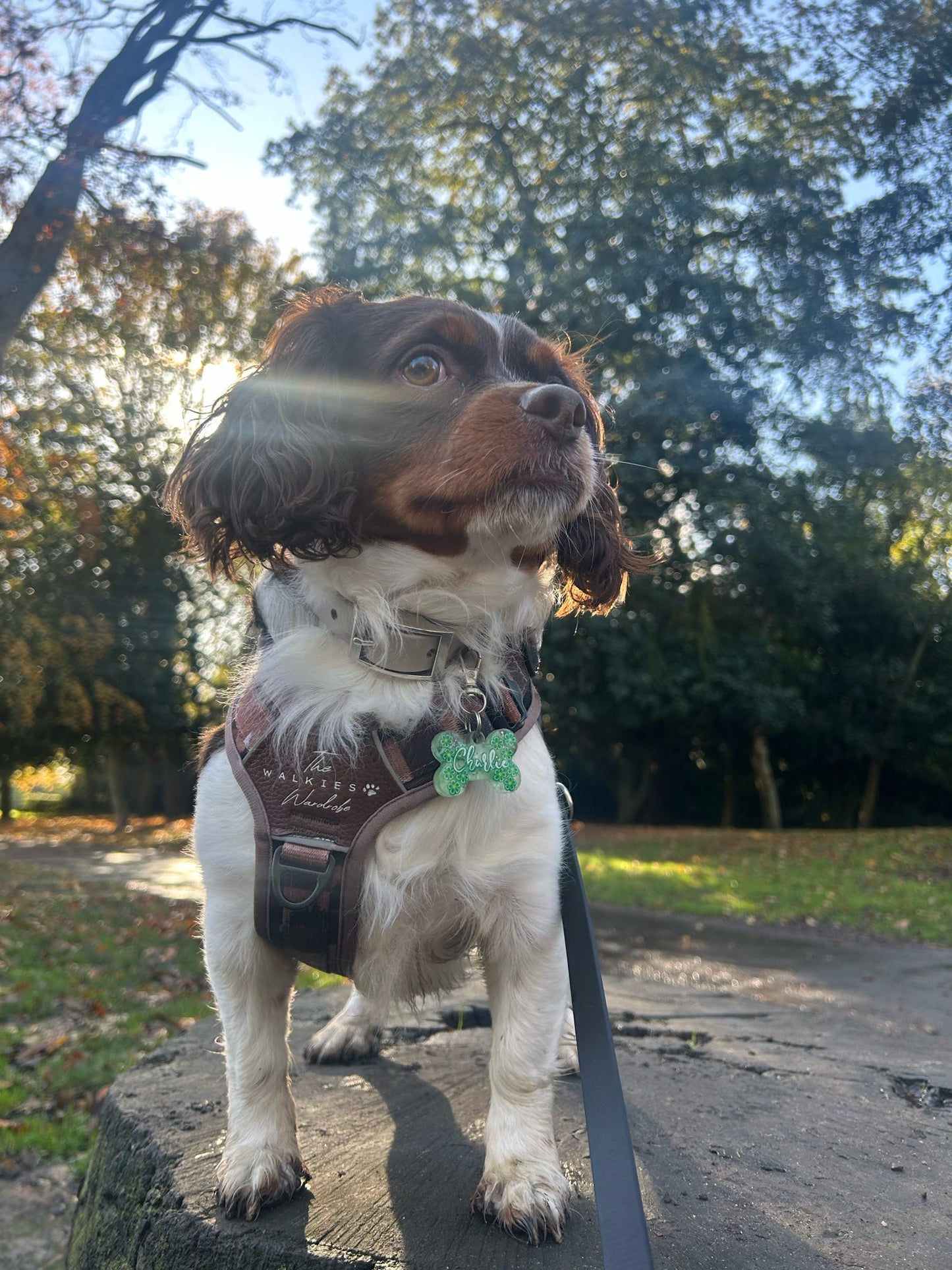 ✨🌺 Personalised Glitter & Clay Slice Tag