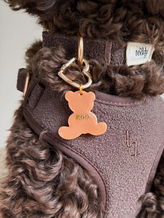 Beary Cute Tag 🐻