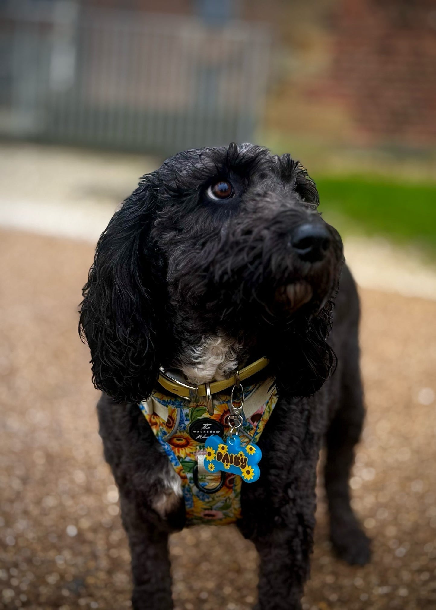 Sunflower Smiles Tag