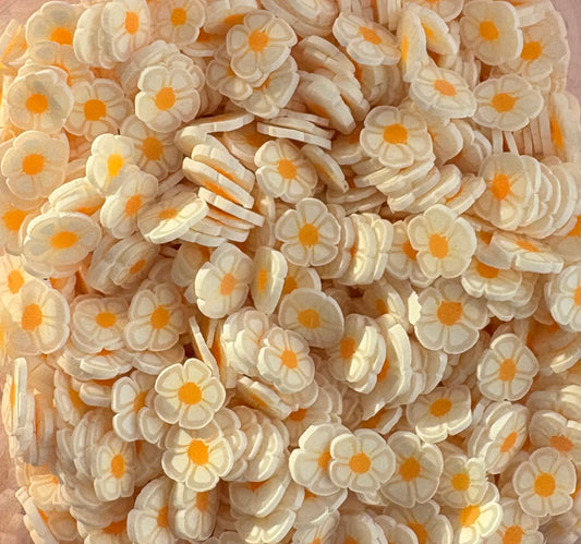Daisy Clay Slices