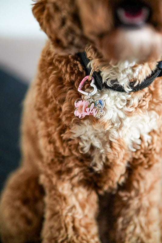 🌸 Personalised Pressed Flower Tag