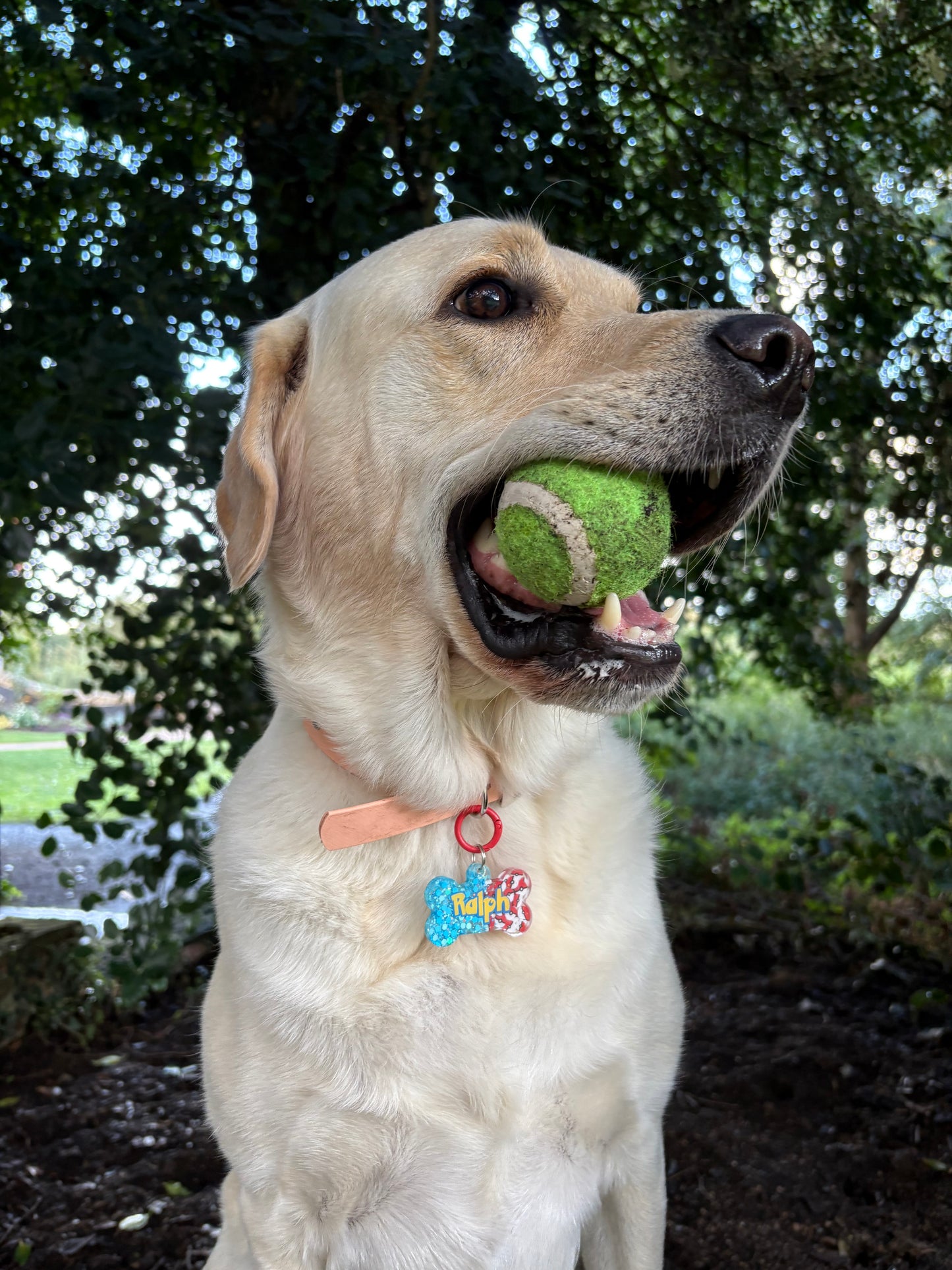 Pokemon Themed Half & Half Tag