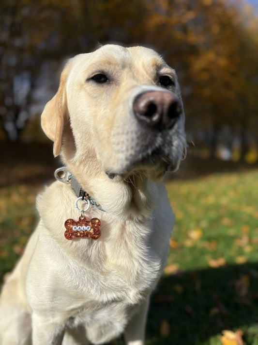 ✨🐾 Personalised Bead-Style Glitter Dog Tag
