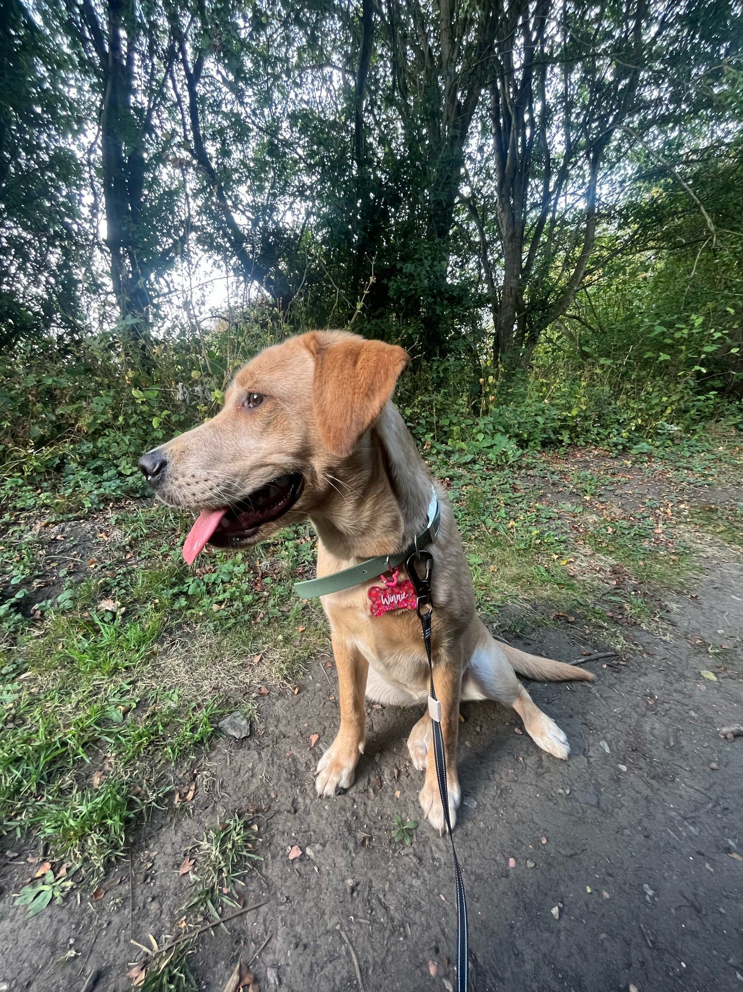 🎨  Design Your Own Tag