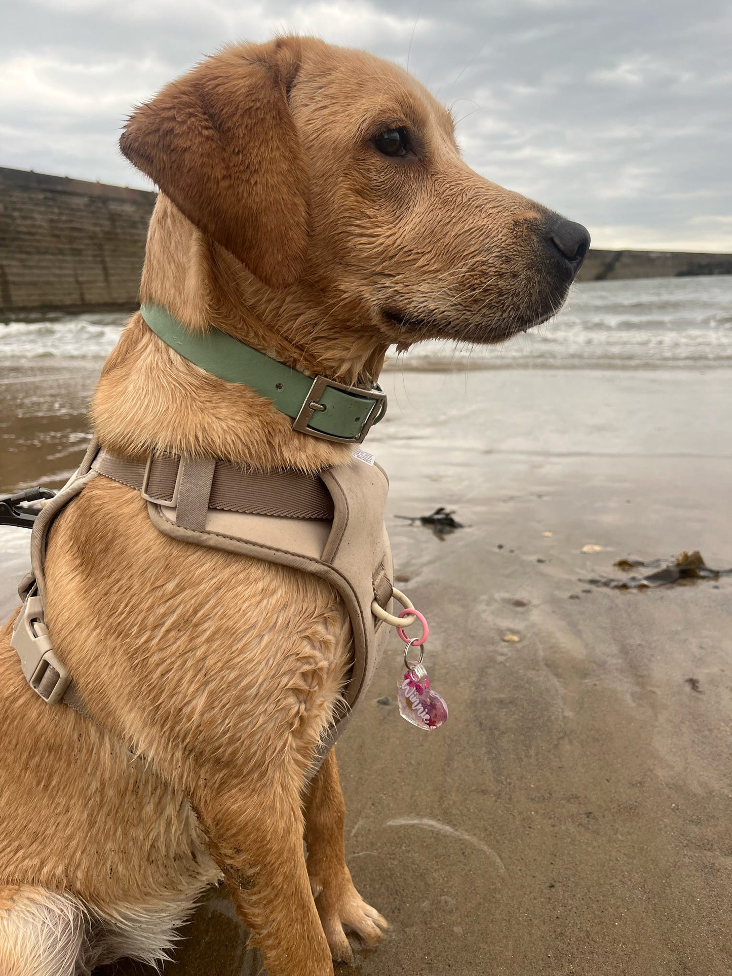 🌸 Personalised Pressed Flower Tag